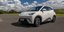 BYD Dolphin Surf