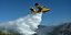 From the fire in the coastal area of Palaia Fokaia