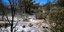 Woman sentenced for negligent arson in Chios wildfire