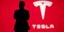 Tesla Logo 