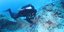 research in the ocean