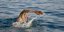 ‘Slow Swimming’ Is the New Mindful Travel Trend