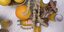 Ginger shots, vRoubis