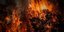 Rafina fire
