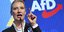 Η επικεφαλής του ακροδεξιού AfD, Αλίς Βάιντελ
