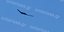 Το εντυπωσιακό αμερικανικό «αόρατο» drone στον ουρανό της Λάρισας