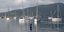 Global Sumud Flotilla 