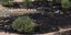 Το σημείο που ξέσπασε η φωτιά στο Άλσος Βεΐκου