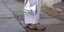 Τα Crocs που θυμίζουν Birkenstock και είναι ιδανικά για περπάτημα - Τα πιο οικονομικά σανδάλια του καλοκαιριού