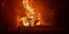 Wildfire