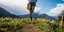 Φωτογραφία: shutterstock