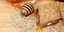 Φωτογραφία: Shutterstock