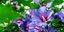 Φωτογραφία: shutterstock