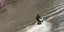 27χρονος έκανε τζετ σκι στους πλημμυρισμένους δρόμους της Μπανγκόκ