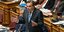Ο Μαργαρίτης Σχοινάς στη Βουλή