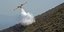 Τεράστια καταστροφή στα Χανιά από την πυρκαγιά -Κάηκαν περίπου 3.000 στρέμματα 