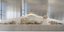 φωτογραφία: theacropolismuseum.gr
