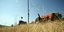 Νέες ηλεκτρονικές υπηρεσίες για τους αγρότες: Στόχος η μείωση του κόστους και τη