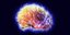 Nέος γονιδιακός χάρτης του εγκεφάλου επιβεβαιώνει την πολυπλοκότητά του