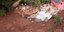 Ο χείμαρρος λάσπης κατέστρεψε τα πάντα στο διάβα του στο Μπρουμαντίνο (Φωτογραφία: ΑΡ/Andre Penner)