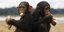Έμφυτο αίσθημα δικαιοσύνης παρατηρήθηκε στους χιμπατζίδες 