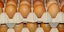 Μολύνθηκαν με fipronil