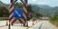Φωτογραφία: Eurokinissi