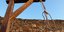 Φωτογραφία: SHUTTERSTOCK