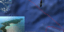 Νησί φάντασμα στον Ειρηνικό - Λάθος του Google Earth ή γεωγραφικό μυστήριο;