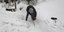 «Σκοτώνει» ο χιονιάς-600 νεκροί στην Ευρώπη-47 στα Βαλκάνια από το κρύο