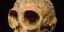 Ενα καλοδιατηρημένο κρανίο 13 εκατ. ετών ανακάλυψαν παλαιοντολόγοι στην Κένυα/ Φωτογραφία: ΑΠΕ-ΜΠΕ