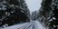 Χιονισμένο Μαίναλο (Φωτογραφία: IntimeNews/ΚΩΝΣΤΑΝΤΟΠΟΥΛΟΣ ΒΑΣΙΛΗΣ)