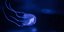 ΦΩΤΟΓΡΑΦΙΑ: SHUTTERSTOCK