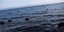 ΦΩΤΟΓΡΑΦΙΑ: SOOC