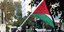 Η σημαία της Παλαιστίνης (Φωτογραφία αρχείου: AP Photo/Petros Karadjias)