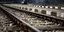 Σοκ στο Δομοκό – 31χρονος πήδηξε στις γραμμές του τρένου και διαμελίστηκε