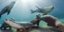 Σπάνιοι θαλάσσιοι λέοντες ποζάρουν με χάρη για τον φωτογραφικό φακό [εικόνες]