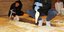 Φωτογραφία: flashnews
