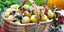 Φωτογραφία: Shutterstock
