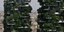 Vertical Forest στο Μιλάνο (Φωτογραφία: AP Photo/Luca Bruno)