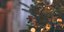 Χριστουγεννιάτικο δέντρο /Φωτογραφία: Pexels
