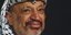 Η χήρα του Γιάσερ Αραφάτ θα καταθέσει μήνυση για δολοφονία του