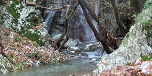 Ο εγχώριος παράδεισος που ακούει στο όνομα Νέδα