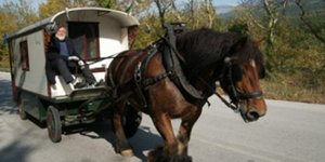 Ολλανδός