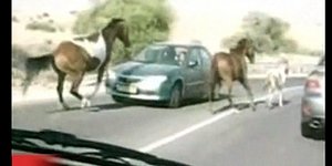 δουλεμπόριο