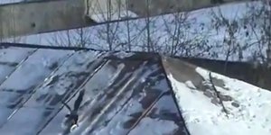 Απίστευτο: Κοράκι κάνει snowboard σε σκεπή [βίντεο] 