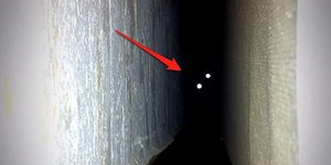 Το γατάκι από την... κόλαση [βίντεο] 