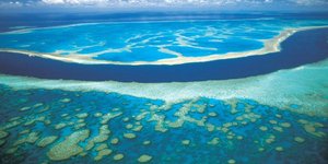 Μεγάλος Κοραλλιογενής Ύφαλος