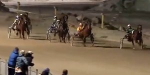 Έκαναν σεξ μπροστά στον κόσμο ενώ παρακολουθούσαν ιπποδρομίες [βίντεο] 