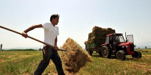 «Χειρουργικές» παρεμβάσεις έως 20% στις καλλιέργειες [πίνακας]